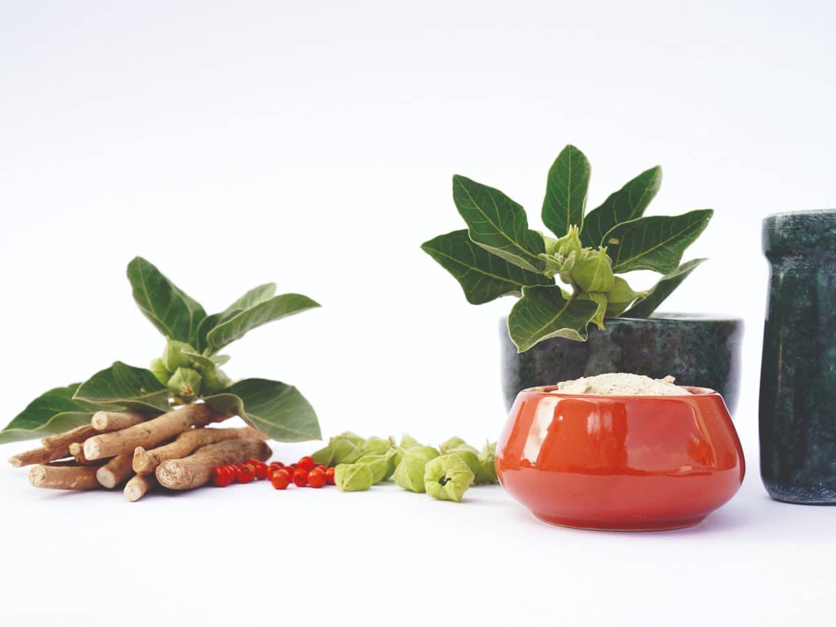 How Ayurveda can revolutionize India’s healthcare system : Dr Somit Kumar, AVPRF